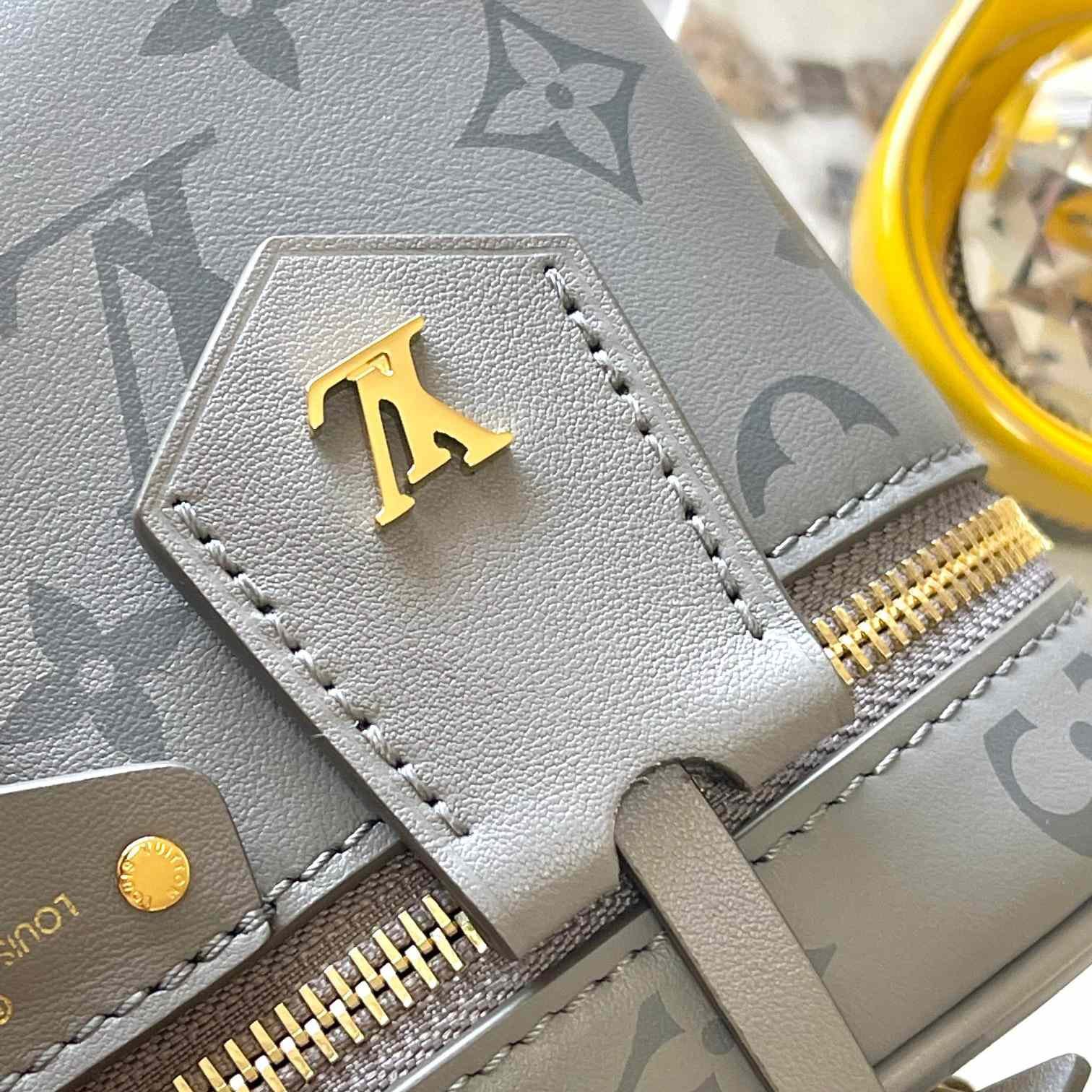Louis Vuitton Vanity Chain Pouch M12427 - Image 7